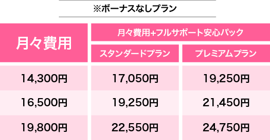 ボーナスプランなし