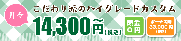 こだわり派のハイグレードカスタム月々14,300円　頭金０円、ボーナス時33,000円
